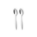 211397 ARDIS - 2PCS TABLE SPOON