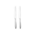 211381 ARDIS - 2PCS TABLE KNIFE