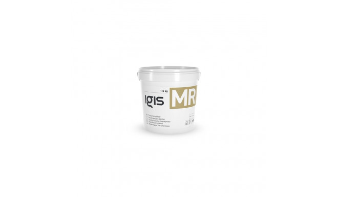 FINE-GRAINED PUTTY IGIS.MR, 1.5 KG