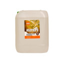 Asepas puidukaitsevahend Asepas-3 10L