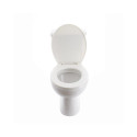 WC WITH TANK AND COVER