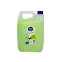 LIQUID SOAP APPLE WITH GLIC 5L (5.17KG)