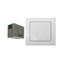 WIRELESS SWITCH (RJ-314)