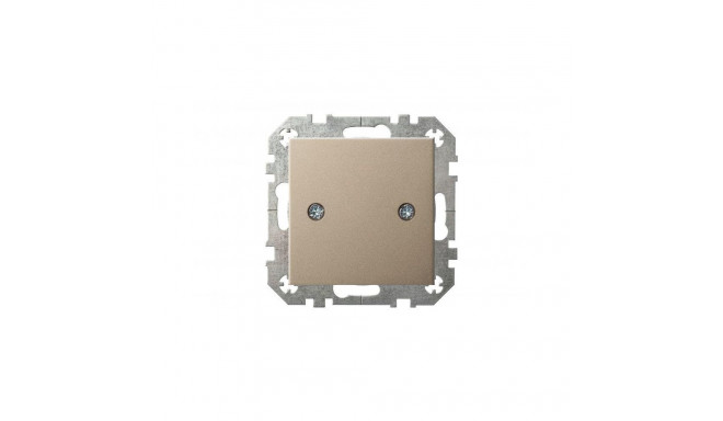 LÕPPKATE EPSILON D-001 ŠAMPANJAVÄRV