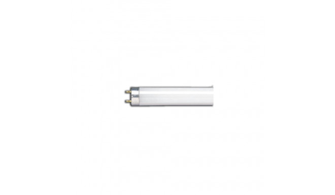 fluorestseeriv toru LUMILUX T8 L 830 18W