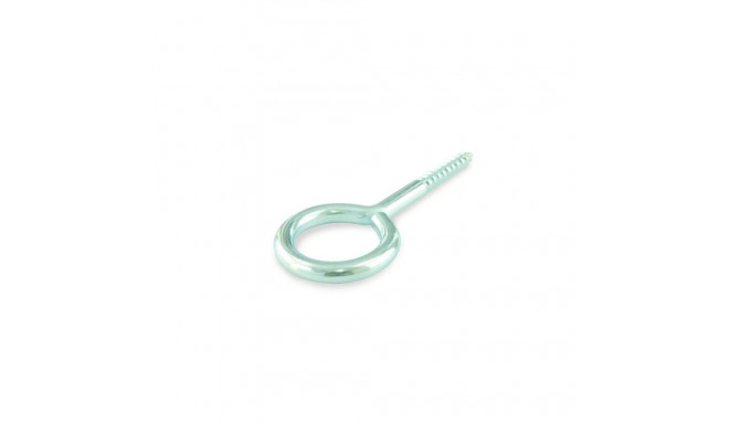 EYE SCREW 30X14X4,0X20 ZINC PLAT/ 4PCS