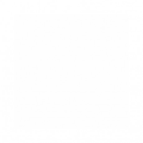 PAINT FLOOR PERF WHITE 2L