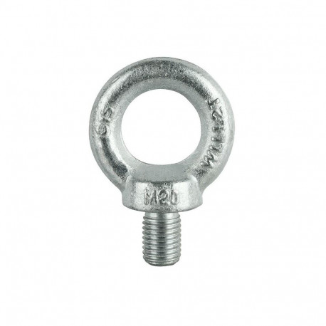 SCREW-LOOP DIN580 M10 tsingitud (25)
