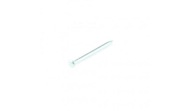 ROU.HEAD NAIL 1,2X20 ZINC PLAT/ 50GR