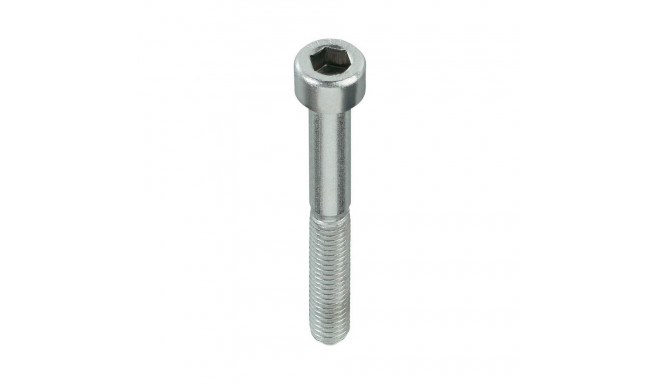 BOLT DIN912 M6X30 ZN (200)