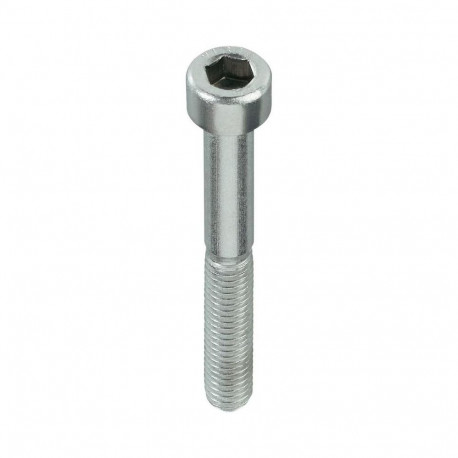 BOLT DIN912 M4X10 ZN (200)