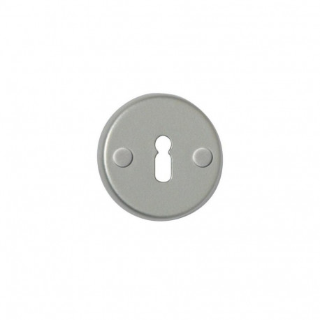 DOOR KEY PLATE T2 SILVER COLOR 100