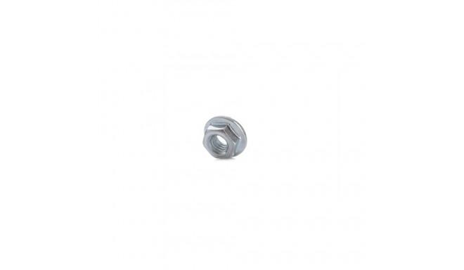 NUT WITH FLANGE DIN6923 M8 ZN(100)