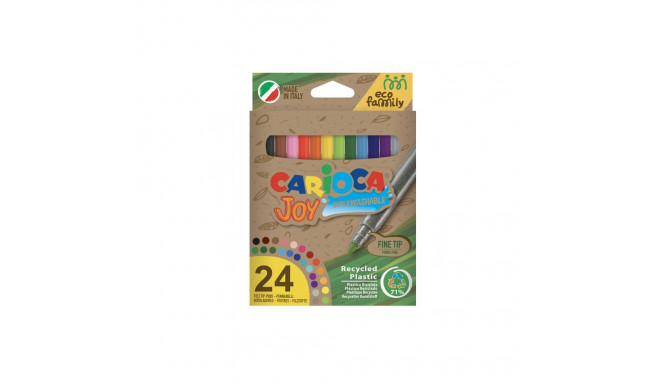 Viltpliiatsid CARIOCA JOY ECOFAMILY, 24 tk