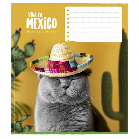 Vihik 170x203mm,12 lehte,5x5 ruuduline, assortii (5 tk)