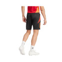 Adidas Tiro 24 Competition Training M shorts IR5484 (S)