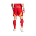 Adidas Tiro 24 Competition Training M shorts IK2245 (L)