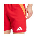 Adidas Tiro 24 Competition Training M shorts IK2245 (L)