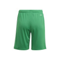 Adidas Squadra 21 Short Y Jr GN5762 (164 cm)