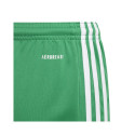 Adidas Squadra 21 Short Y Jr GN5762 (164 cm)