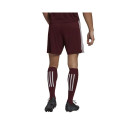 Adidas Squadra 21 Short M GN8083 (XXL)