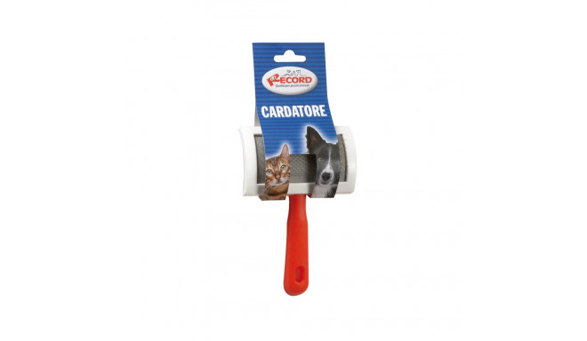 Record brush for pet 16 x 11cm