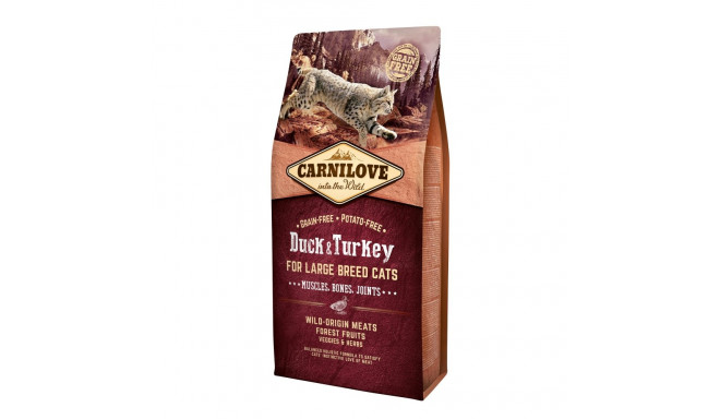 Carnilove Duck & Turkey for Large Breed kassitoit 6 kg