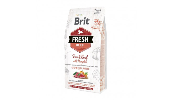 Brit Fresh Beef & Pumpkin Large Bones & Joints complete food for dogs 2,5 kg