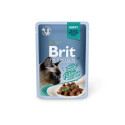 Brit Premium Cat Delicate Beef Fillets in Gravy märgtoit kassidele 85g