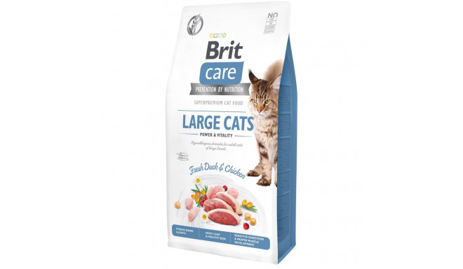 Brit Care Cat Grain-Free Large Cats Power Vitality complete food for cats 7kg