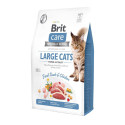 Brit Care Cat Grain-Free Large Cats Power Vitality complete food for cats 2kg