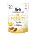 Brit Care Functional Mobility närimismaius koertele 150g