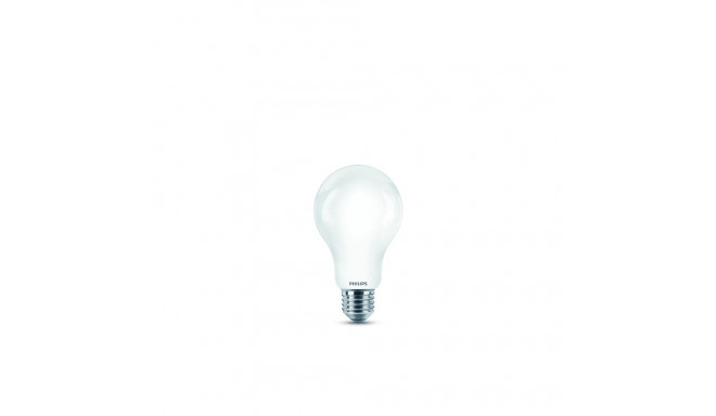 LED CLASSIC 120W A67 E27 WW FR NDRFSRT4