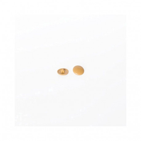 WOOD SCREW LID DM/S8 OAK 12MM (100) HH