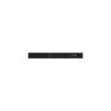 Basic strip PDU20BHVIEC12R 1U, 16A, 1xC20, 12xC13