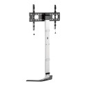TECHLY Super Slim Floor Stand for LCD / LED / Plasma TV from 32 inch to 70inch