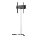 TECHLY Super Slim Floor Stand for LCD / LED / Plasma TV from 32 inch to 70inch