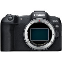 Canon EOS R8 + RF 24-240mm f/4-6.3 IS USM