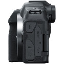 Canon EOS R8 + RF 24-240mm f/4-6.3 IS USM + Mount Adapter EF-EOS R