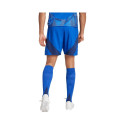 Adidas Tiro 24 Competition Training M shorts IQ4755 (2XL)