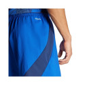 Adidas Tiro 24 Competition Training M shorts IQ4755 (XL)