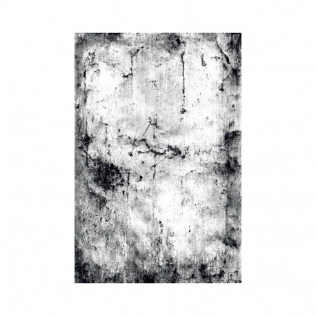 CARPET TIMELES 7690A/C0847 1.6x2.4m hall vaip