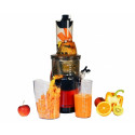 Slow juicer SJV801