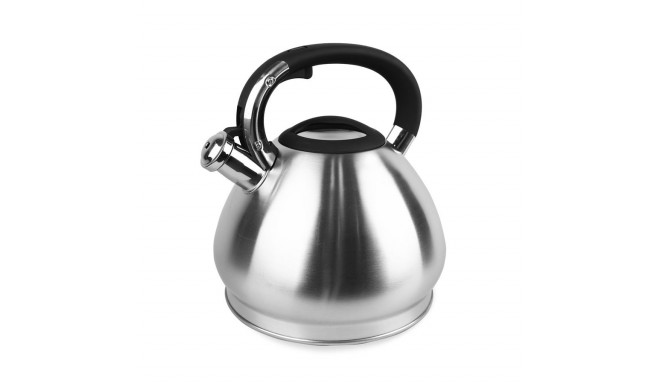 Electric kettle MR-1319 Maestro