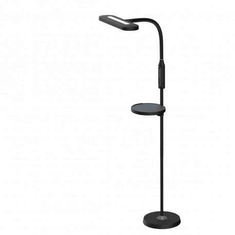 Tiross põrandalamp 15W TS-2249