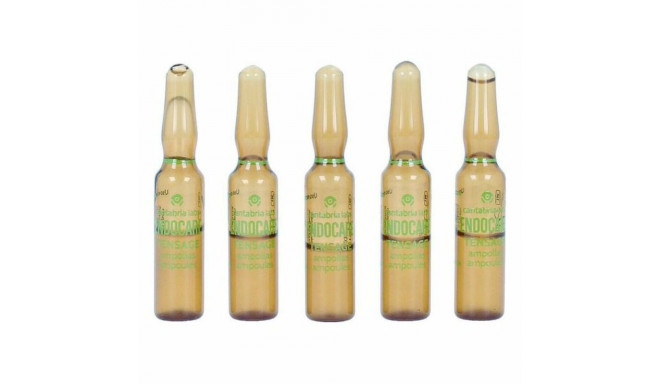 Ampullid Endoncare Tensage Taastav (10 x 2 ml)