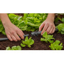 GARDENA Micro-Drip-System T-piece for spray nozzles, 13mm (1/2"), connection (dark grey, 5 pieces, m