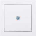 Homematic IP Smart Home wall button flat (HmIP-WRCC2)