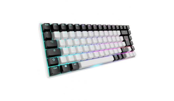 Sharkoon SGK50 S3 White, Gateron Yellow