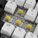 Sharkoon SGK50 S3 White, Gateron Yellow